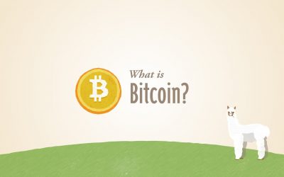 Bitcoin – is it a investment?